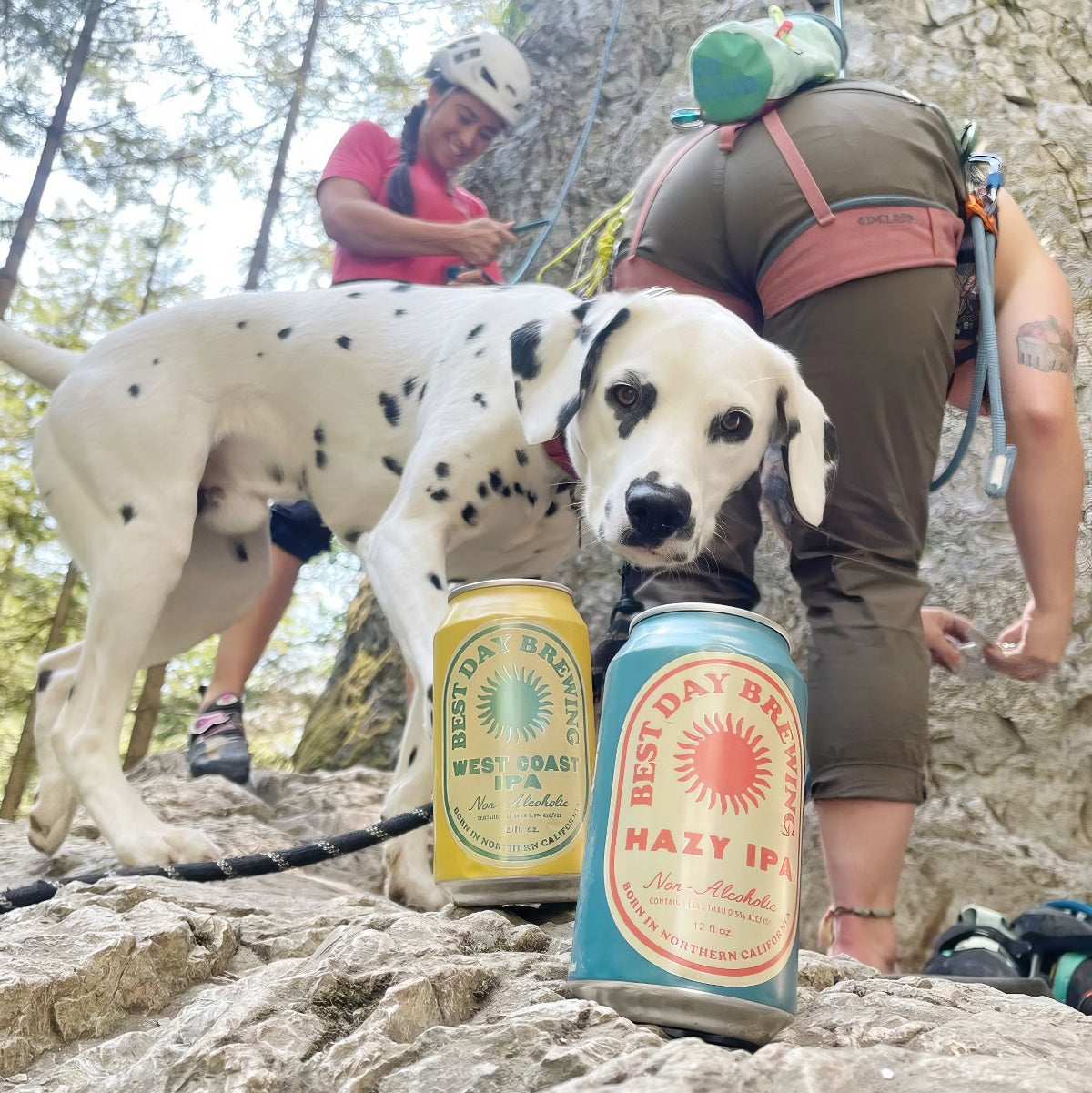 Best Day Brewing