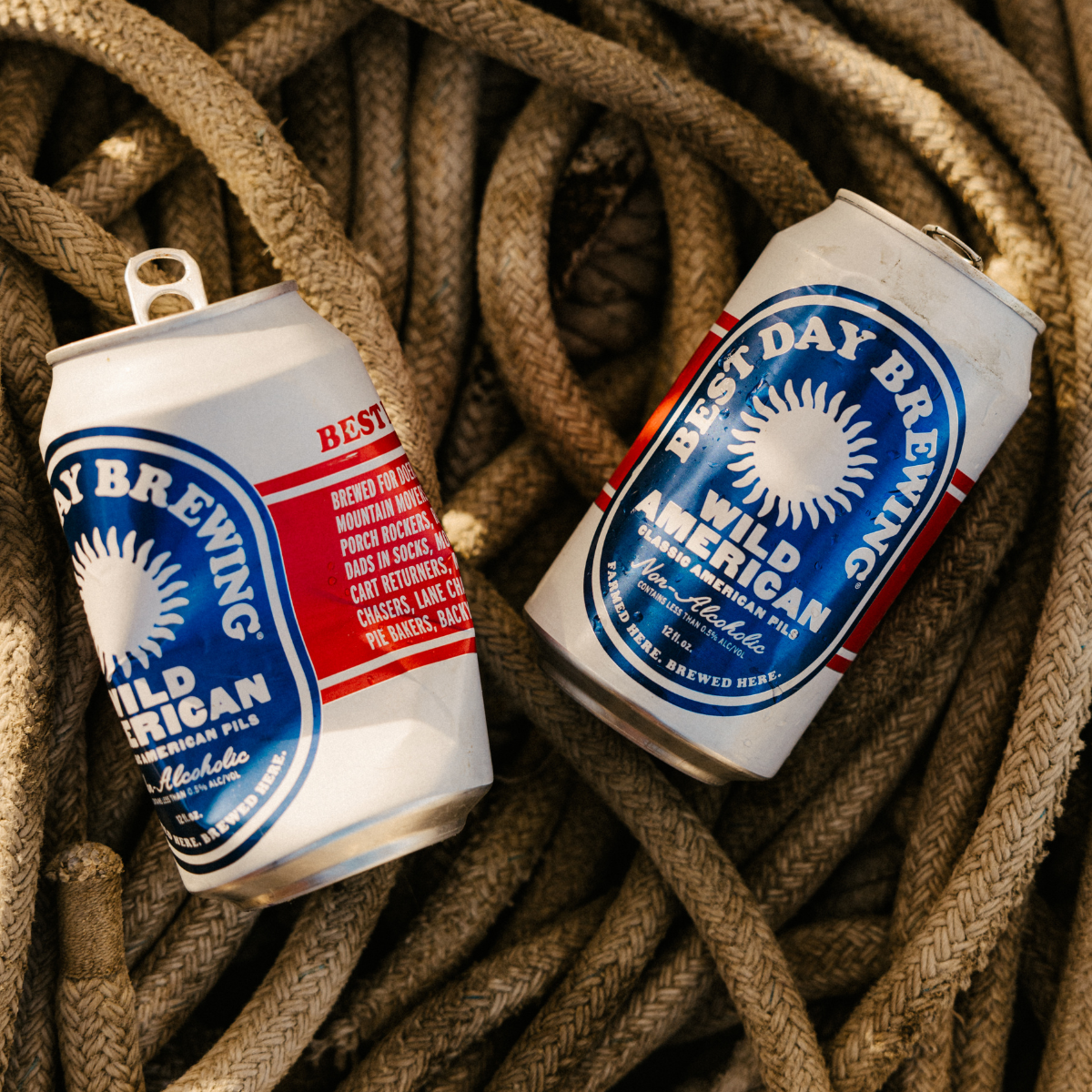 
                  
                    Wild American Pilsner
                  
                