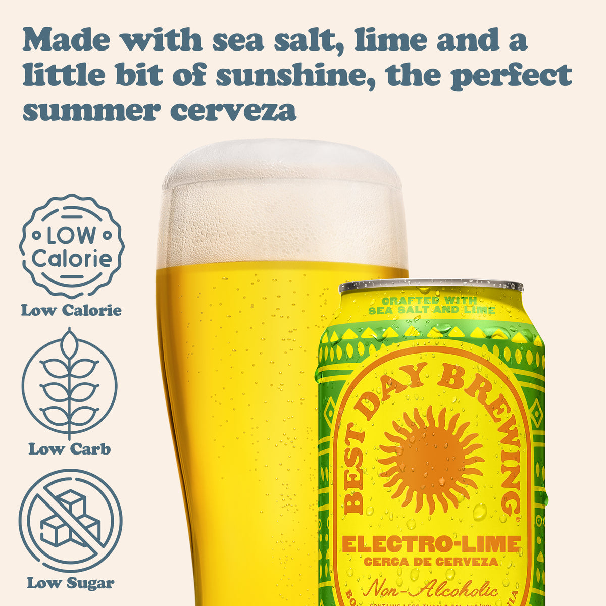 
                  
                    Electro-Lime 12 Pack
                  
                